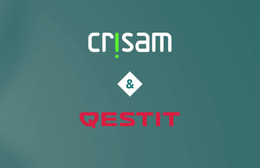 Partnerschafts Bild Cirsam Qestit